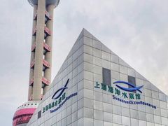 -上海海洋水族馆