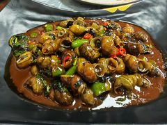 紫苏炒螺-天宝食坊·啫啫煲大排档(西华路店)