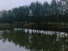 -东郊湿地公园