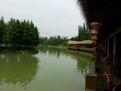 android_upload_pic-秀丽东方