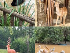 -济南野生动物世界