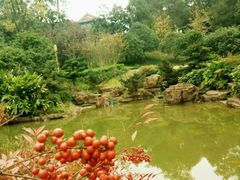 -铁山坪森林公园