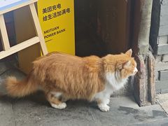 -大麒麟阁(扬州东关街店)