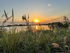 -芒洲湿地公园