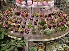 -KKV(深圳kk one 店)