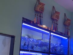 -云中鱼蒸汽石锅鱼(川沙百联店)