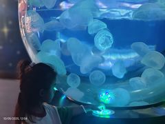 -南昌融创海世界