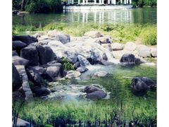-新虹桥中心花园