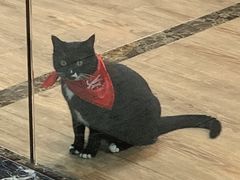 -五谷渔粉(壹海城店)