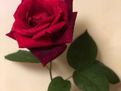 -裕兴记(东门町店)