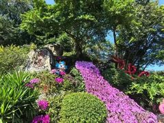-广州市白云山风景名胜区