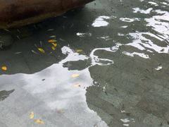 -碧水湾温泉