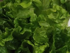 -陈大锅·岳阳鱼馆·地道岳阳菜(美食街店)