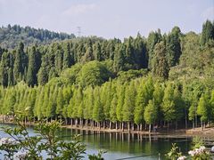 -名花谷生态庄园