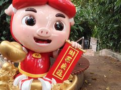 -深圳野生动物园