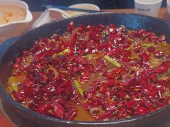 -老板恋上鱼(恒隆广场店)