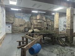 -无锡动物园·太湖欢乐园