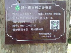 -郑州植物园
