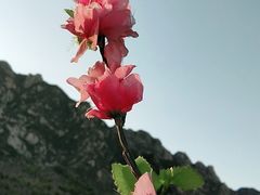 -北京凤凰岭