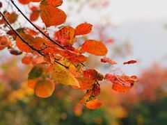 -周口店坡峰岭风景区