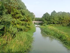 -同里国家湿地公园