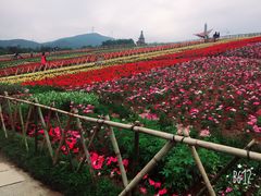 -东部华侨城