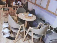 -白兔子密室(长寿路店)