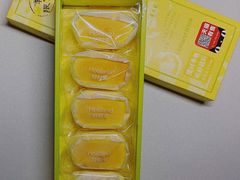 -蒲公英(五里店)