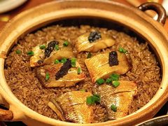 -香榭里音乐酒吧(丰美店)