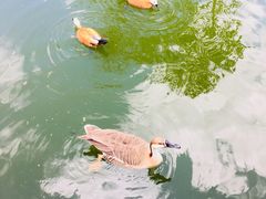 -昆明动物园