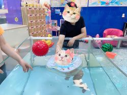 -海豚啵啵体智能游泳馆(惠山万达广场店)