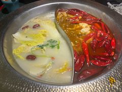 -麻田会 ·鲜活现烹·牛蛙火锅(珠江新城维家思广场店)