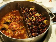 番茄麻辣锅-舒来喜鱼锅(伊河路店)