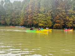 -上海海湾国家森林公园