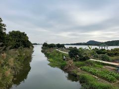 -鹤之洲湿地公园