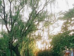 -菖蒲河公园