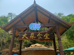 -野象谷景区