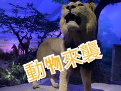 -天津自然博物馆