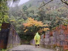 -娄山关景区