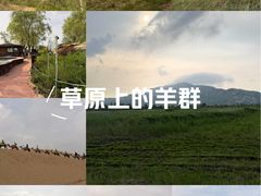 -玉龙沙湖景区