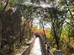-南翠屏公园