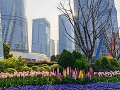 -上海中心大厦