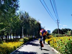 -长春公园(普阳街道)