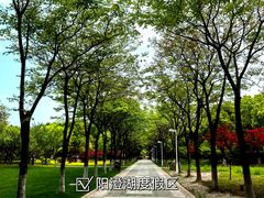 -阳澄湖半岛旅游度假区