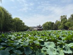 -莲池书院博物馆