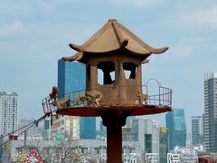 -昆明动物园