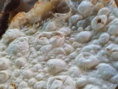 -铭记烧烤制作社•吊炉乳鸽 延吉冷面