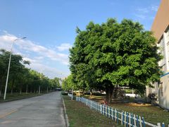 -福州大学(旗山校区)