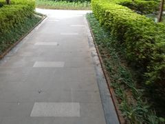 -巢爷老味(东方红店)