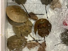 -海村海鲜酒店